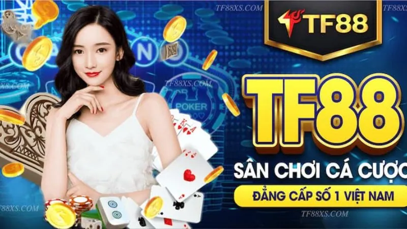 Đối chiếu thông tin thay vì suy đoán - Dt68
